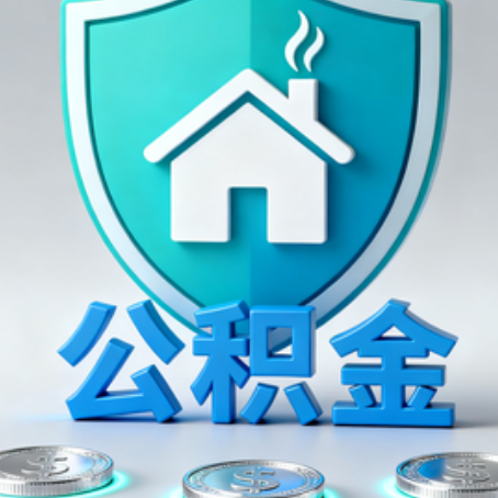 那曲公积金代办行业观察：谁在提供专业服务？